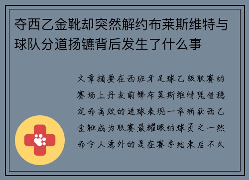 夺西乙金靴却突然解约布莱斯维特与球队分道扬镳背后发生了什么事 夺西乙金靴却突然解约布莱斯维特与球队分道扬镳背后发生了什么事